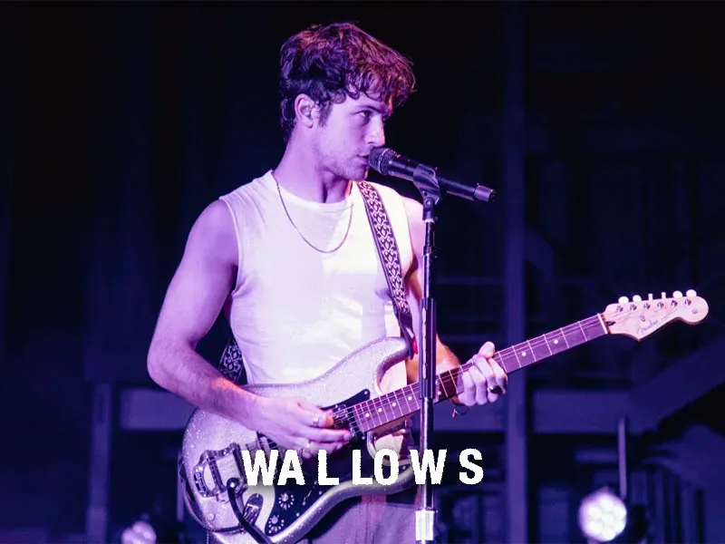 Wallows tickets